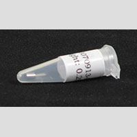 4041-002 Palladium Reference Sample (C210A) 4041-002 Palladium Reference Sample (C210A)
