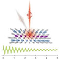 Magneto-Optics in Quantum Materials Conference