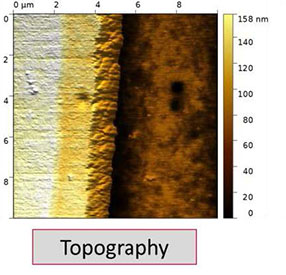 AFSEM C-AFM image of a gold electrode on a silicon substrate. (Figure 2) AFM Topography image of the electrode structure.