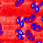 App Note: Artificial Spin Ice Cross-Platform Analysis with FusionScope&reg;